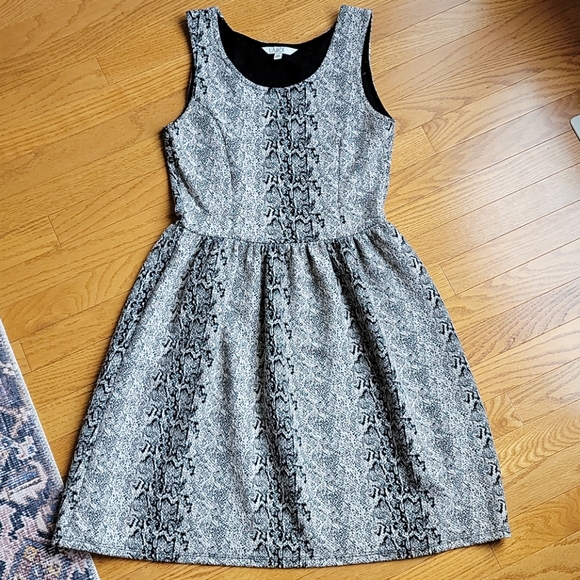 Animal Print Black and Cream Dress - Picture 1 of 6